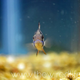 Image for article titled Watch A Super Mario Bros. Aquarium Get Built From Scratch